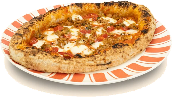 فطيرة التونة